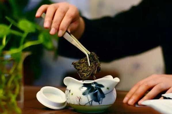 泾阳茯茶是什么茶-第1张图片-陕西金九茯商贸有限公司