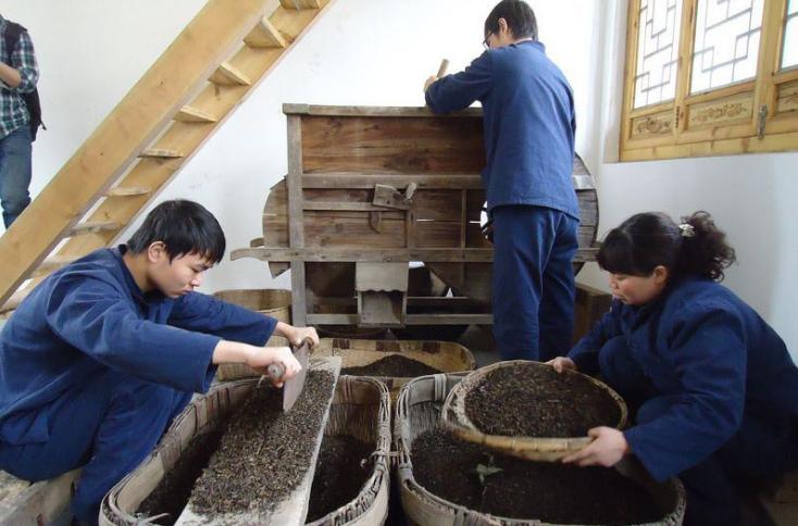 泾阳茯茶是什么茶-第5张图片-陕西金九茯商贸有限公司